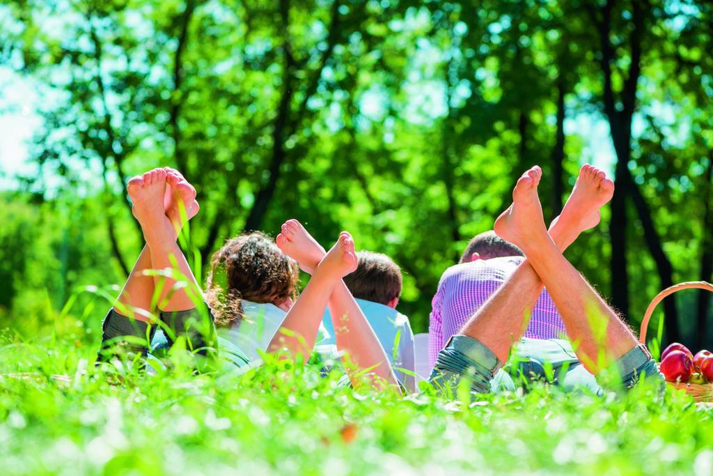 Natuurpark De Witte Bergen Hotell Rouveen Rom bilde