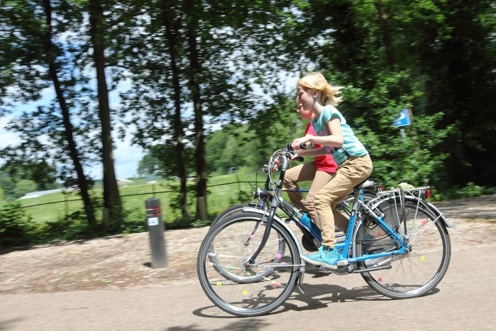 Natuurpark De Witte Bergen Hotell Rouveen Rom bilde