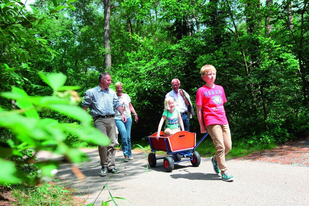 Natuurpark De Witte Bergen Hotell Rouveen Rom bilde