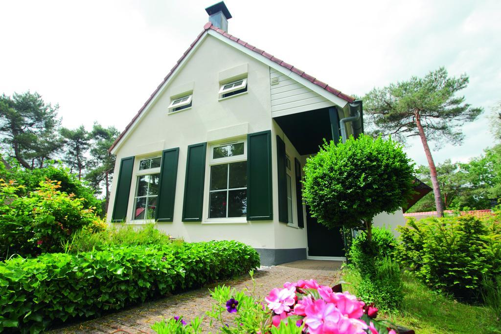 Natuurpark De Witte Bergen Hotell Rouveen Rom bilde