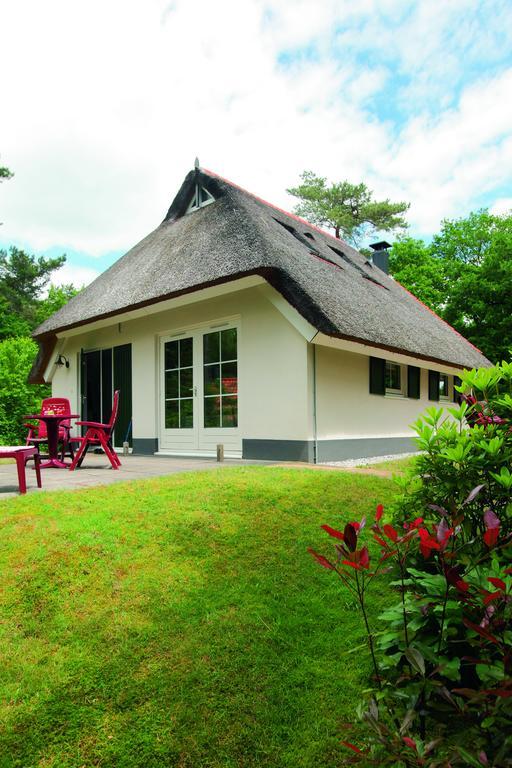 Natuurpark De Witte Bergen Hotell Rouveen Rom bilde