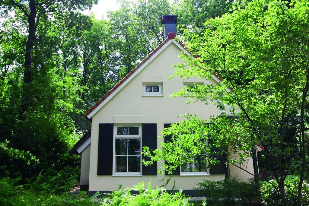 Natuurpark De Witte Bergen Hotell Rouveen Rom bilde